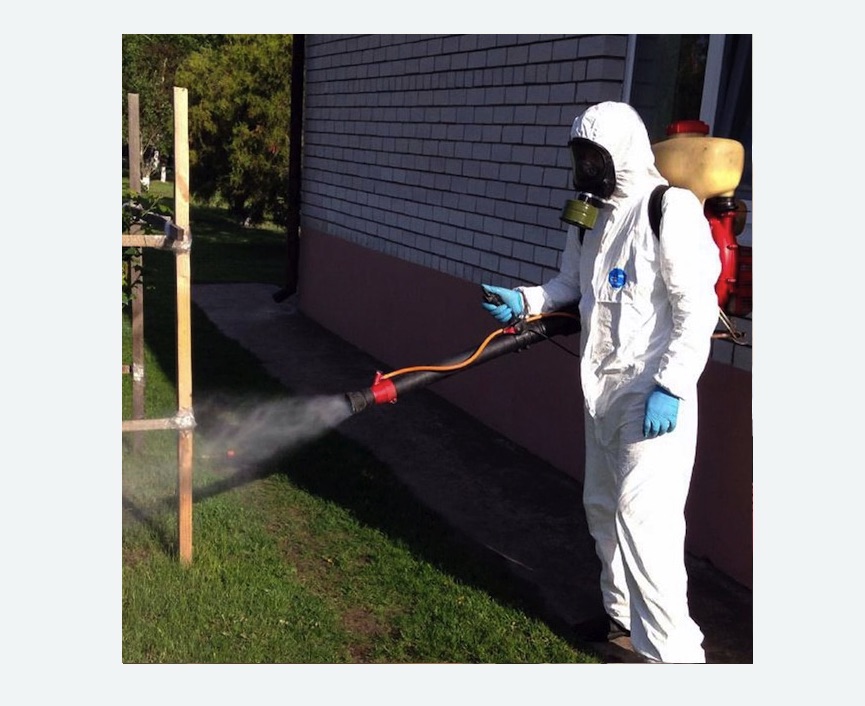 уничтожение клещей на участке травля клещей на участке Чеховская метро Москвы