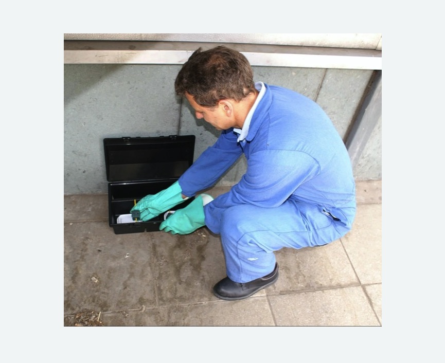 Дератизация помещения Чеховская метро Москвы Дератизация помещения