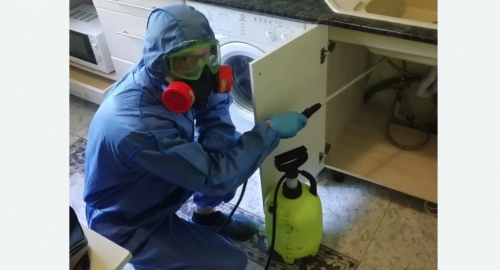 Уничтожение муравьев в квартире. Чеховская