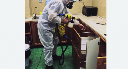 Уничтожение насекомых в квартире. Чеховская