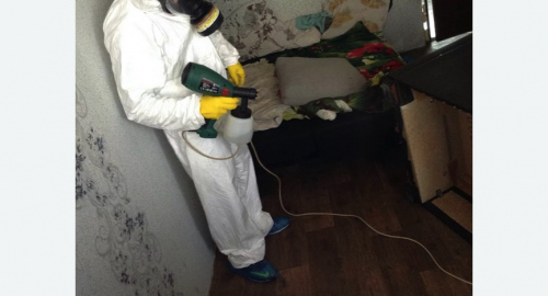 Обработка квартир от насекомых Чеховская метро Москвы