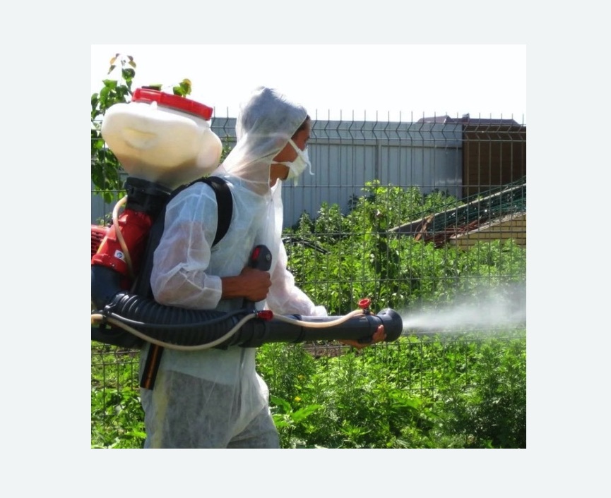 Акарицидная обработка территории Чеховская метро Москвы