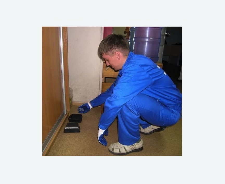 Дератизация крыс Дератизация крыс Чеховская метро Москвы