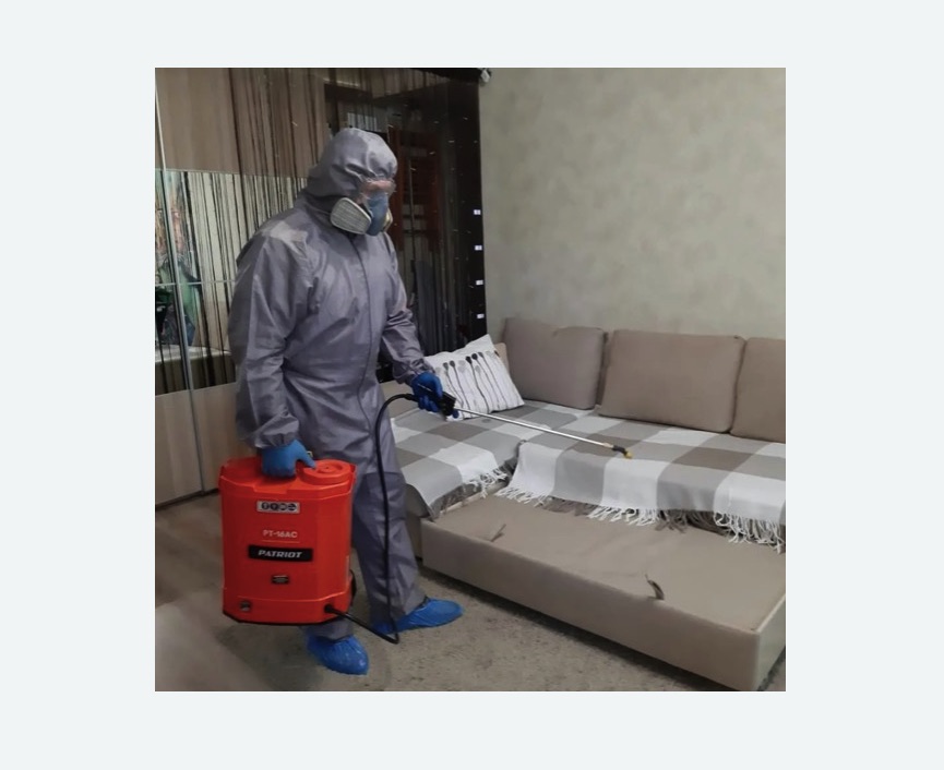 Обработка квартиры от блох Чеховская метро Москвы Обработка квартиры от блох