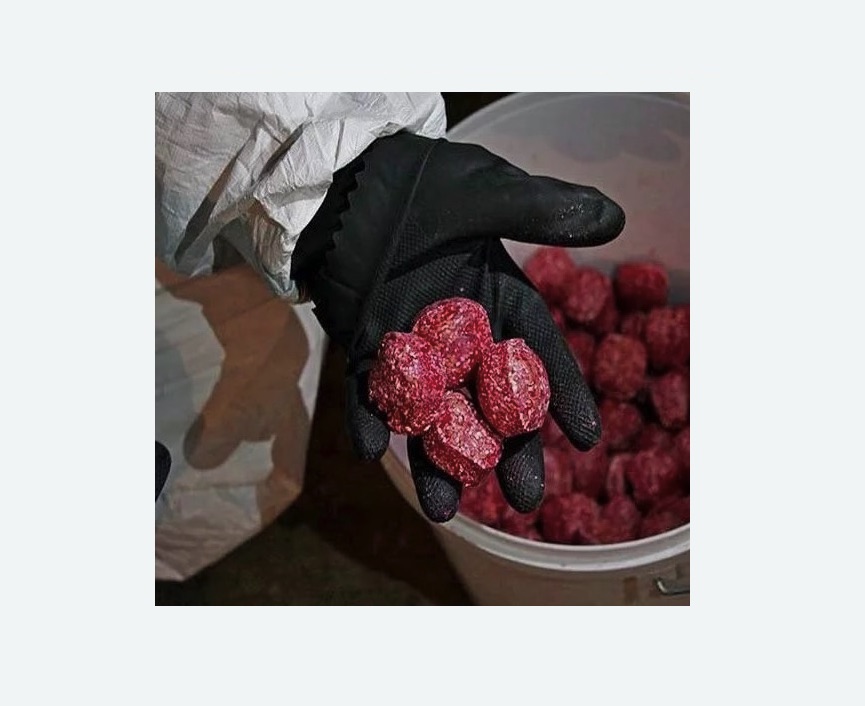 Обработка от крыс Обработка от крыс Чеховская метро Москвы