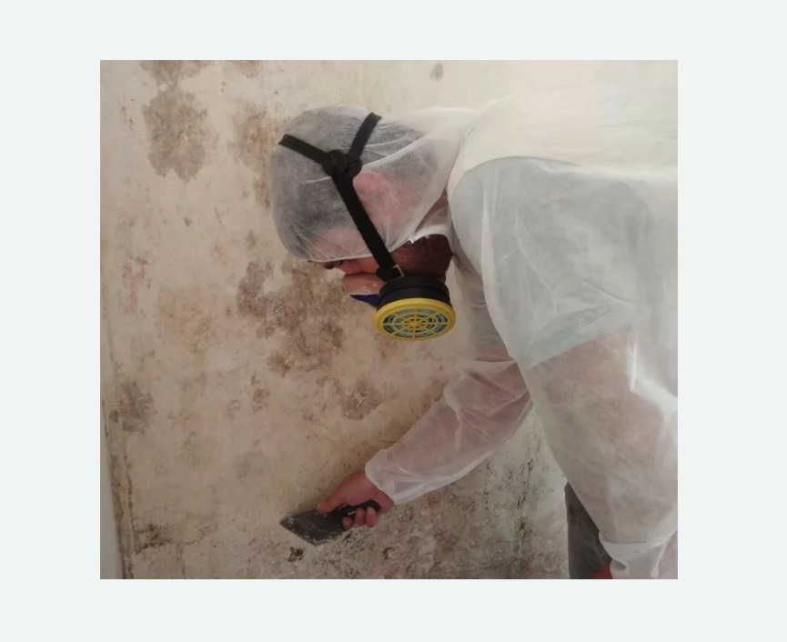 Обработка стен от плесени Обработка стен от плесени Чеховская метро Москвы