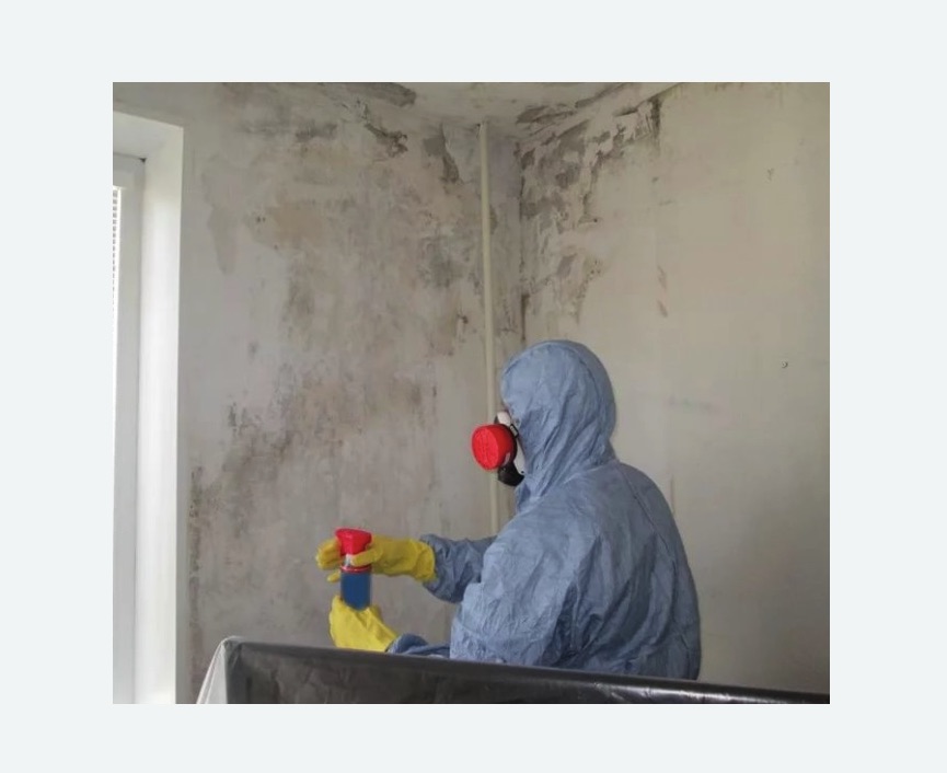 Удаление плесени в квартире Удаление плесени в квартире Чеховская метро Москвы