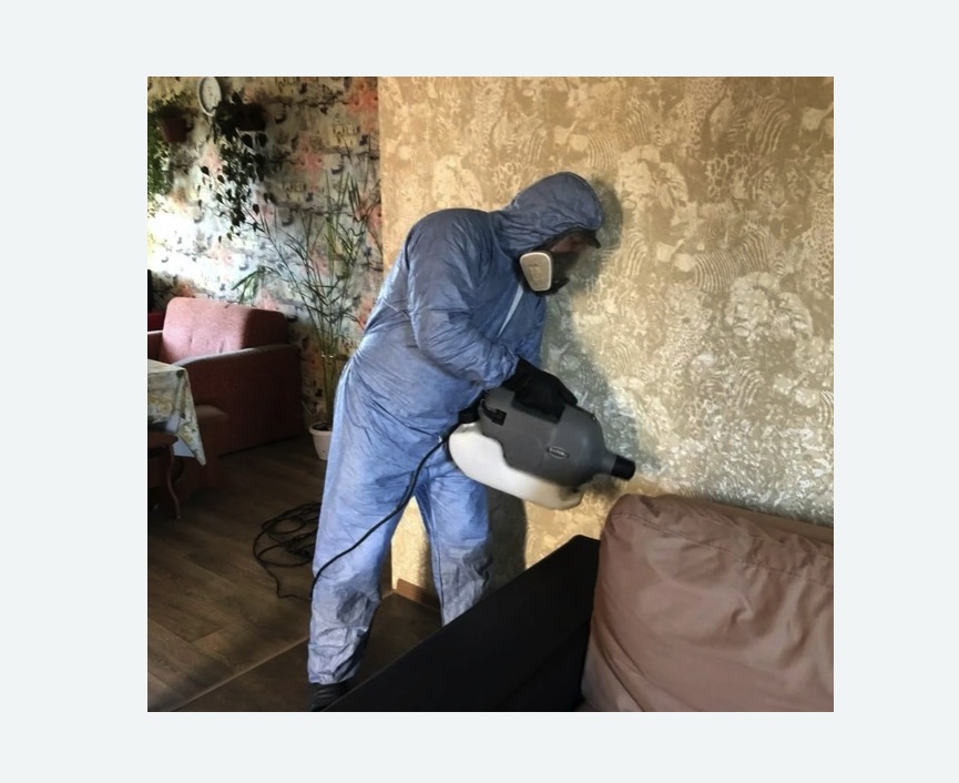 Уничтожение блох в квартире. Чеховская Уничтожение блох в квартире