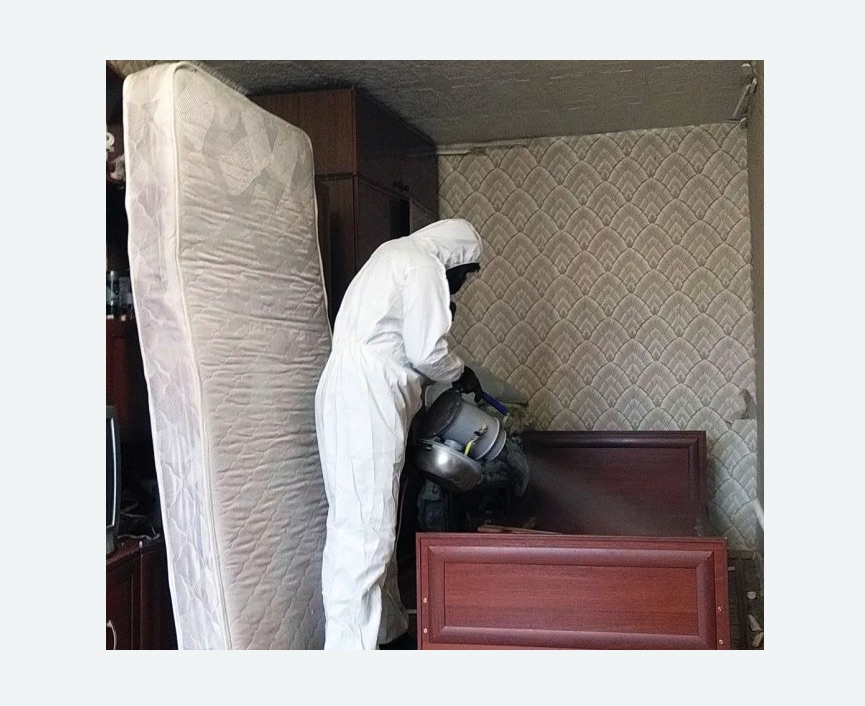 дезинфекция от клопов Чеховская метро Москвы