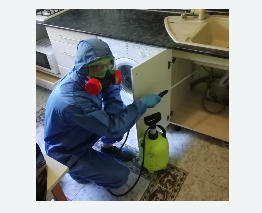 обработка от муравьев в квартире обработка от муравьев в квартире Чеховская метро Москвы