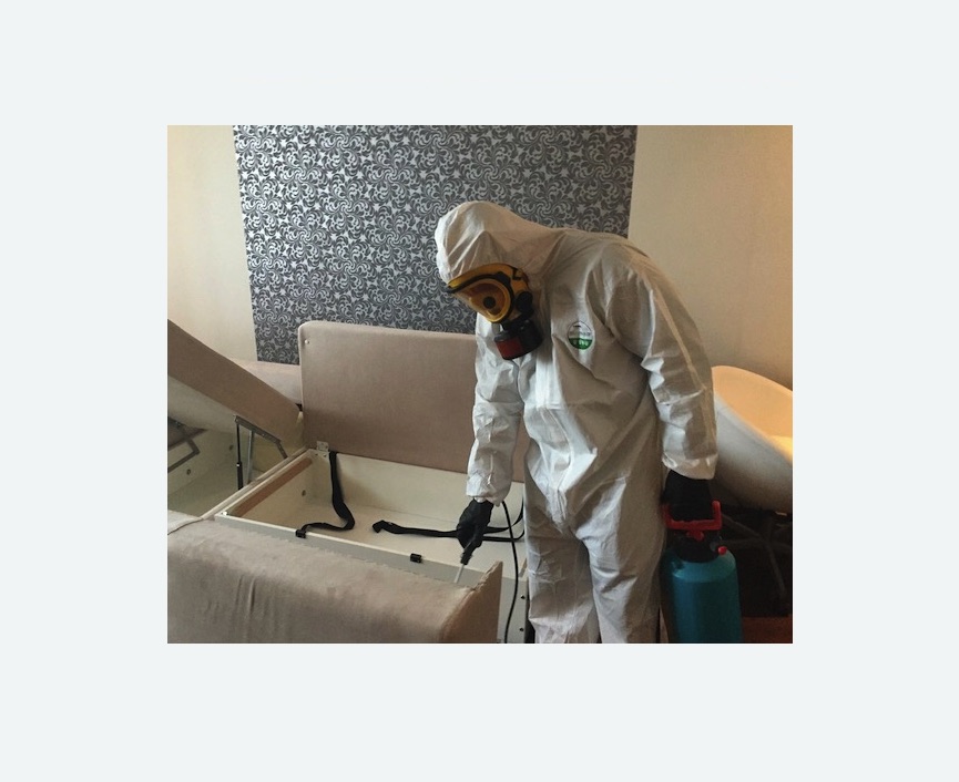 уничтожение клопов в квартире Чеховская метро Москвы