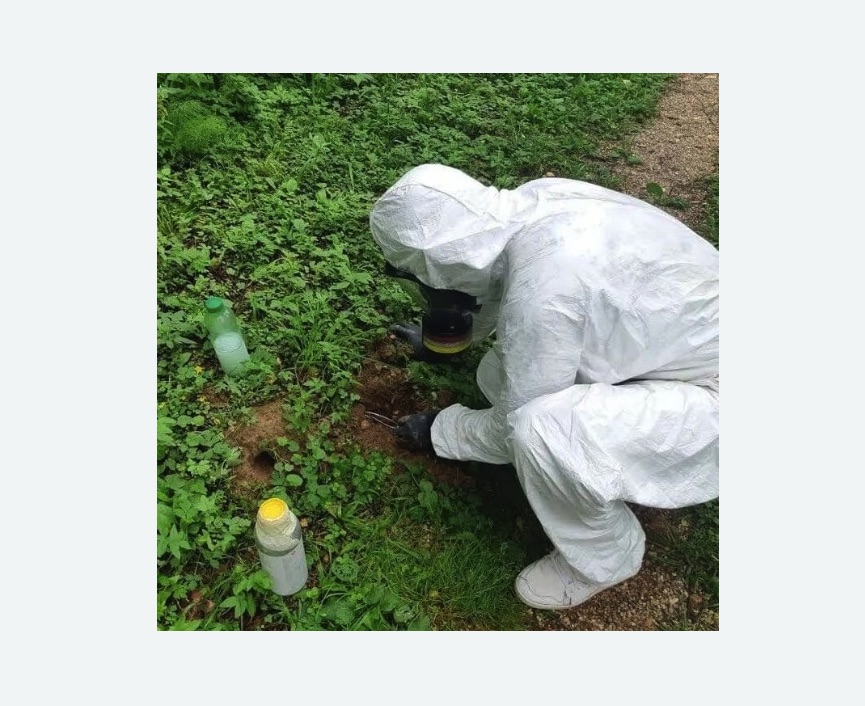 уничтожение кротов на участке Чеховская метро Москвы