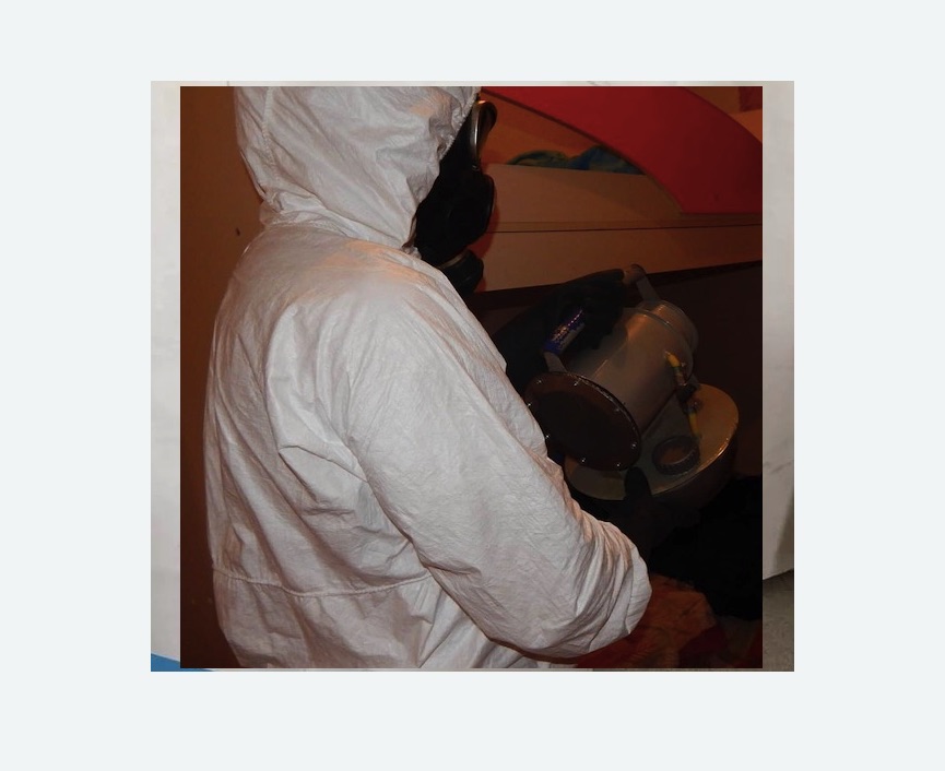 Дезинфекция от муравьев Дезинфекция от муравьев Чеховская метро Москвы