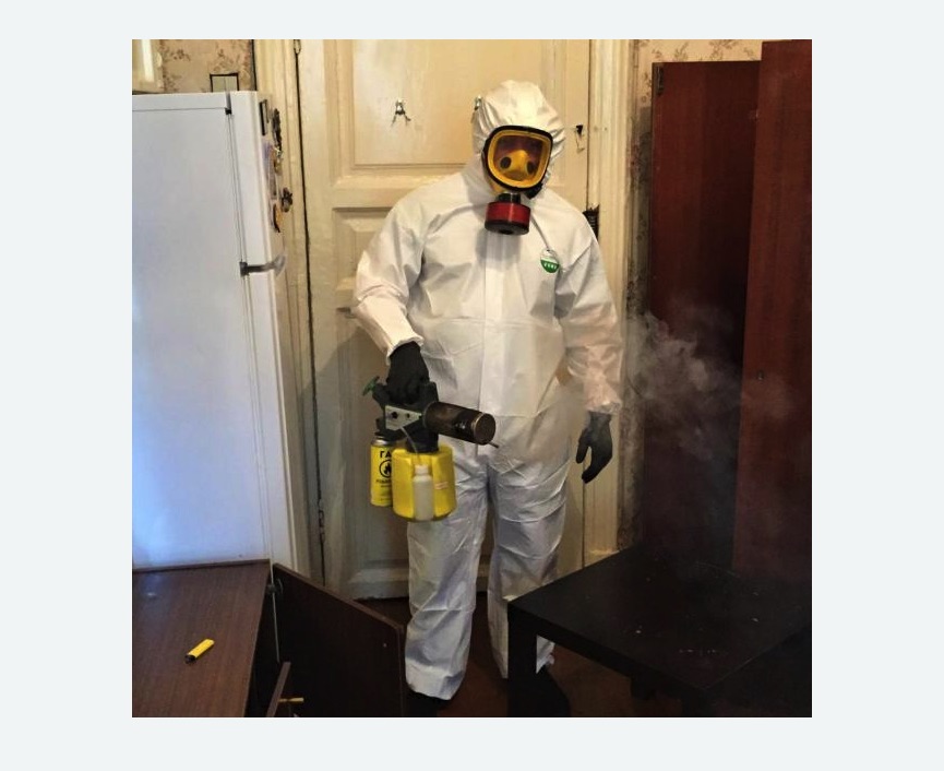 уничтожение муравьев в квартире уничтожение муравьев в квартире Чеховская метро Москвы